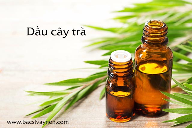 Chữa vẩy nến bằng dầu dừa và dầu cây trà