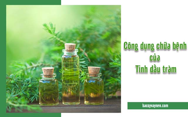 công dụng trị vẩy nến của tinh dầu tràm