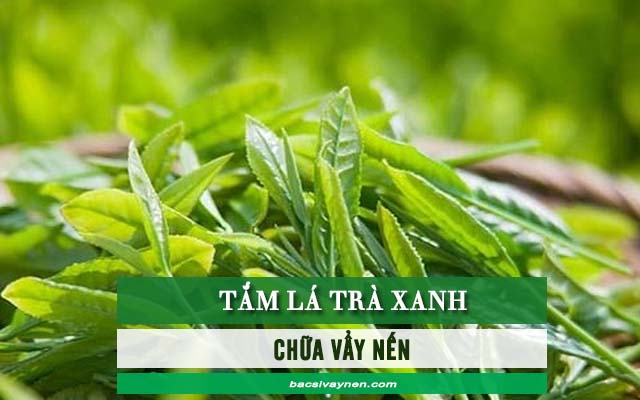 nấu nước lá trà xanh tắm để chữa vẩy nến