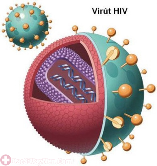 HIV do virus gây ra