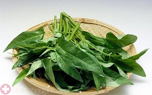 Bài thuốc chữa bệnh á sừng bằng cây vòi voi và rau muống