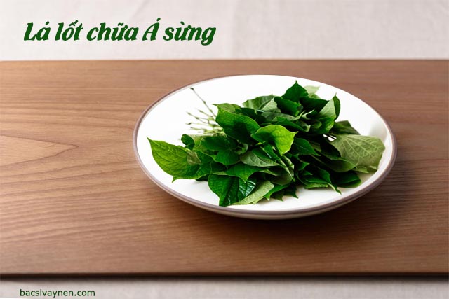 lá lốt chữa á sừng