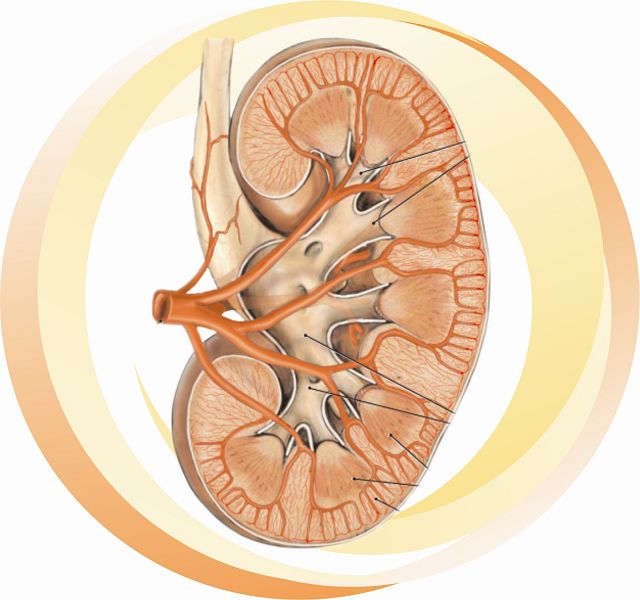 Biến chứng của vẩy nến